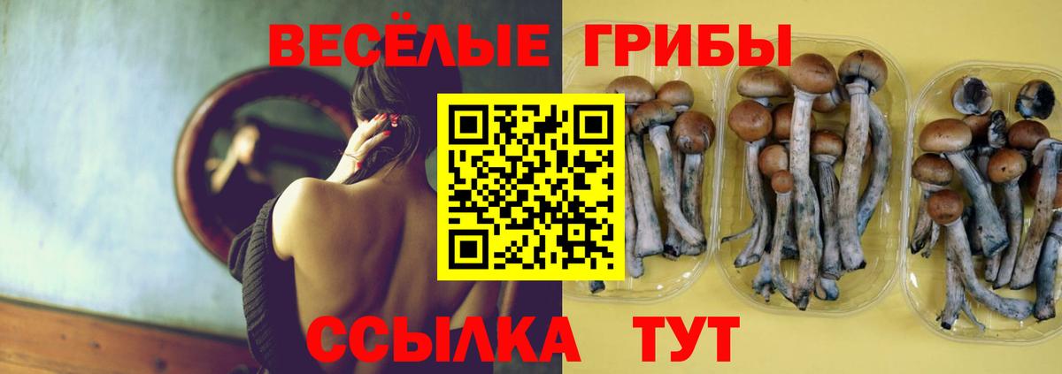 Псилоцибиновые грибы GOLDEN TEACHER Туймазы